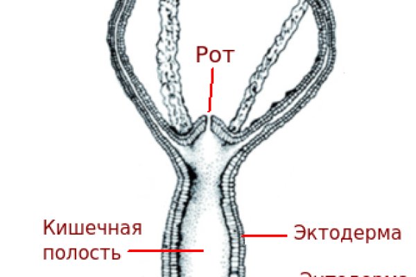 Ссылка официального сайта блэкспрут