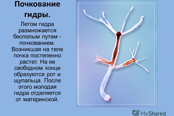 Не работает сайт blacksprut